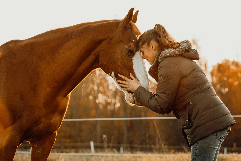Elevate Your Horse's Performance
